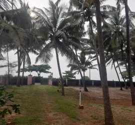 Northshore Kerala