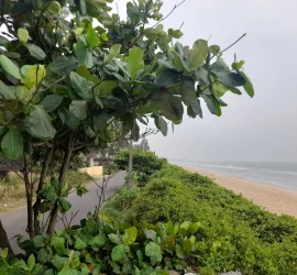 Northshore Kerala