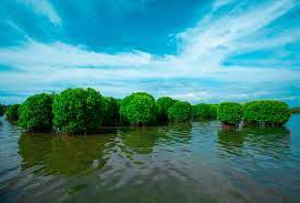 Northshore Kerala