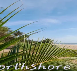 Northshore Kerala