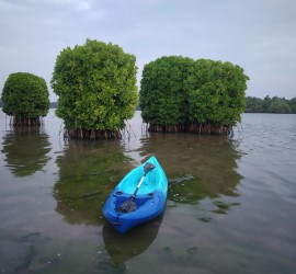 Northshore Kerala