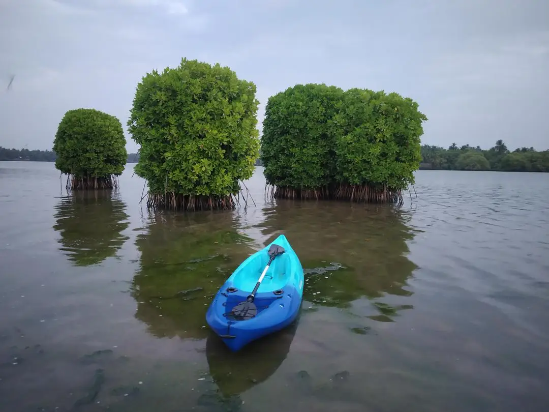 Northshore Kerala